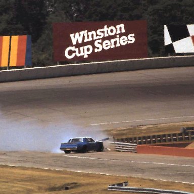 1983 Gabriel 400 @ Michigan.