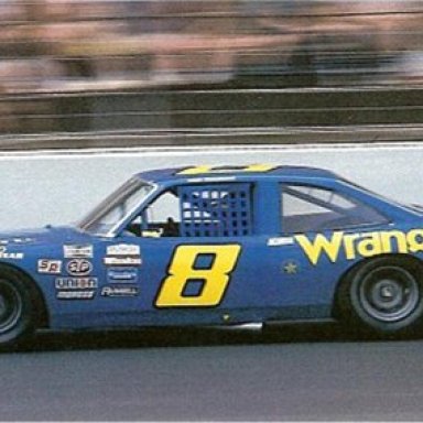 Dale Earnhardt