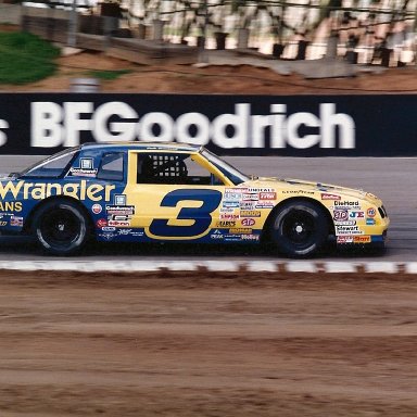 Dale Earnhardt2