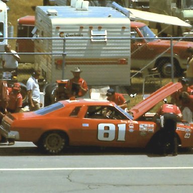 #81 Terry Ryan  1976 Cam 2 Motor Oil 400 @ Michigan