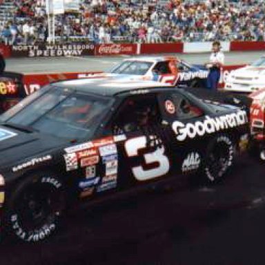 Dale Earnhardt