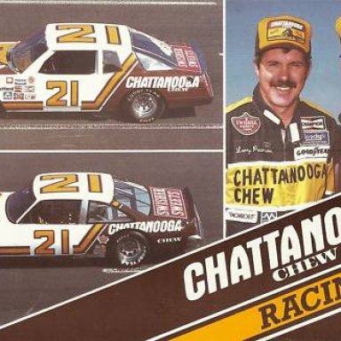 David Pearson-Larry Pearson