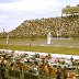 #29 Cale Yarborough #67 Buddy Arrington #26 Ricky Rudd #10 Ken Bouchard #1 Dale Jarrett 1988 Miller High Life 400 @ Michigan