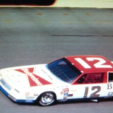 Neil Bonnett-4
