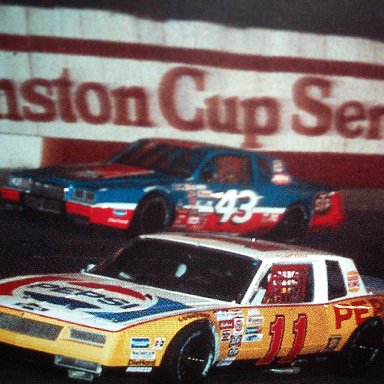 Darrell Waltrip-11