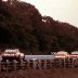 #12 Neil Bonnett #15 Ricky Rudd #25 Tim Richmond 1986 The Budweiser at the Glen