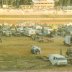 Log Cabin Raceway
