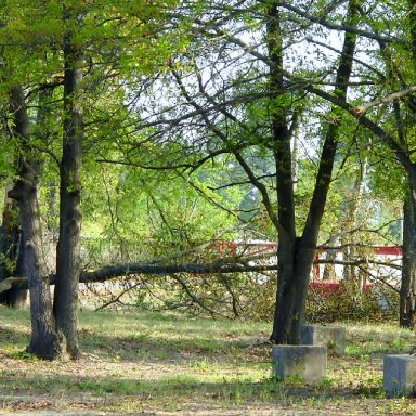 Last week's storm
