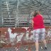 Cris at North Wilkesboro Speedway