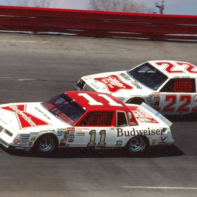 Bristol 1984