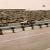 Larry Frank #76  Lido Lavander Ford