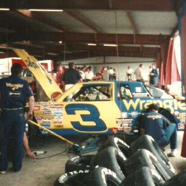 Earnhardt