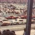 Cars Lineup for Cardinal 500 Martinsville '74