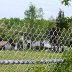 Thri the fence