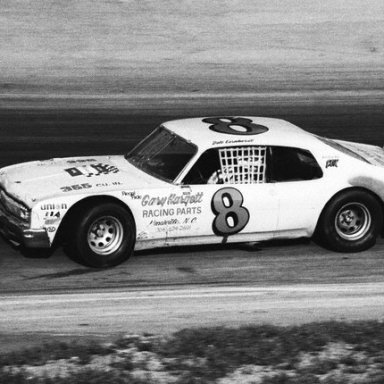 Dale Earnhardt