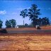 Hawkinsville Ga. 1960 #13