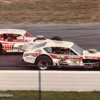 THOMPSON 1979 TROYER AND VEE