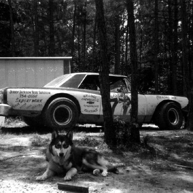 My dog and his car