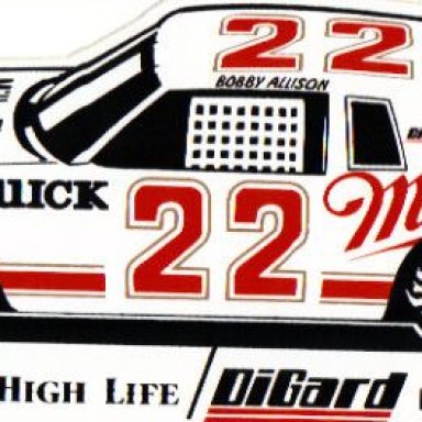 Bobby Allison..