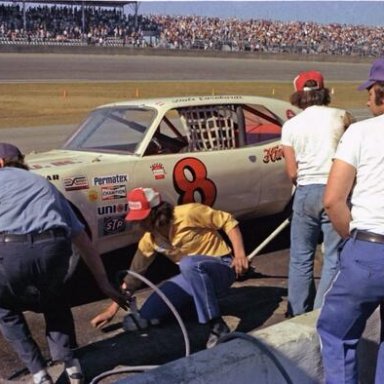 Dale in #8