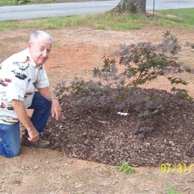 Rex HOF Tree-& his Late Sister RIP-4