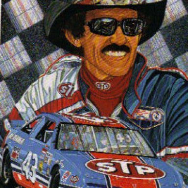 Richard Petty .