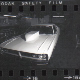 temp_ning_photo_file.jpg