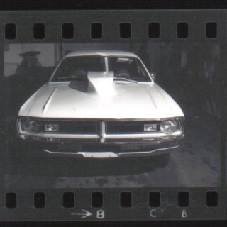 temp_ning_photo_file.jpg