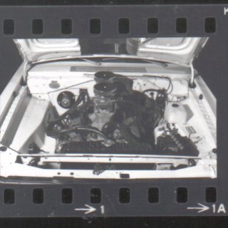 temp_ning_photo_file.jpg