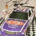 #99 Ricky Craven Dupont Finishes