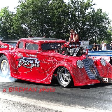 Wild '33'