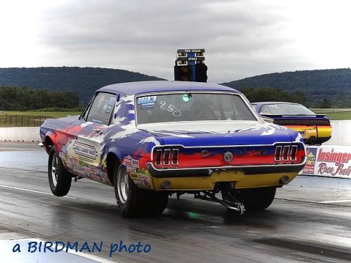 'Stang' Launch! - Gallery - Joseph Bird | racersreunion.com