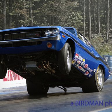 Hemi Wheelstand