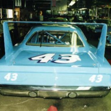 One Cool View Of That Petty Bird.