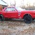 Red Mustang