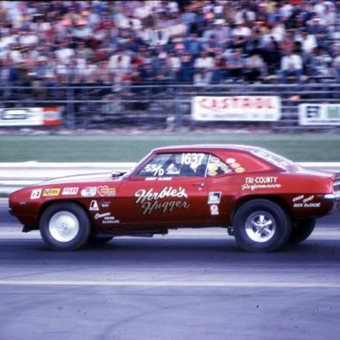 HERBIES_HUGGER_AT_INDY