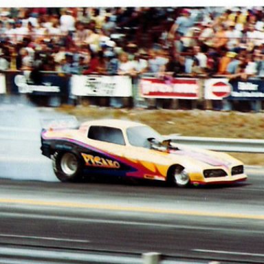 PISANO_S_FIREBIRD_GATORS