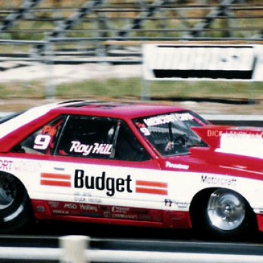 84_GATORS_ROY_HILL