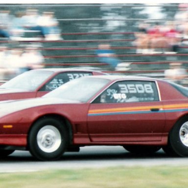 _3508_FIREBIRD_AT_SUMMER