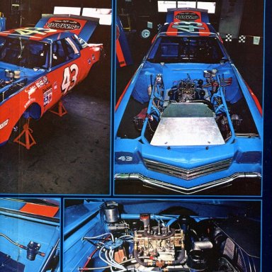 Richard Petty