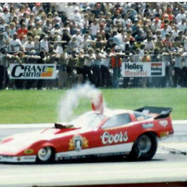 Mongoose leting th smOKE OUT