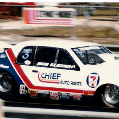 BOB GLIDDEN  T_BIRD 84 Gators