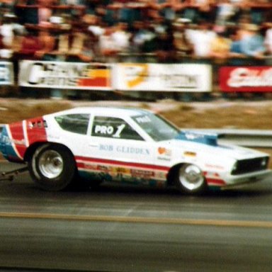 BOB_GLIDDEN_S_ARROW_79GATOR