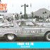 1965 Richard Petty The Year the Hemi Was Outlawed in Nascar