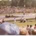 Garlits POP ROD 1977