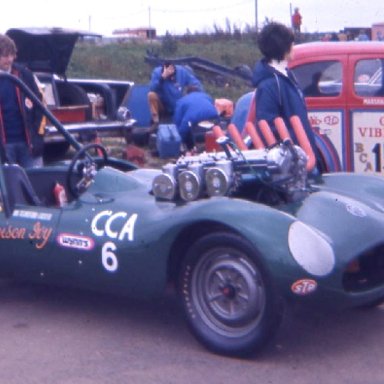 Poison Ivy Jag