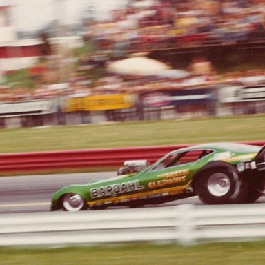 Green Elephant 1977 Indy