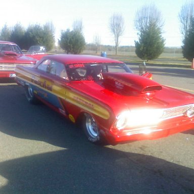 falcon and fairlane at the farm