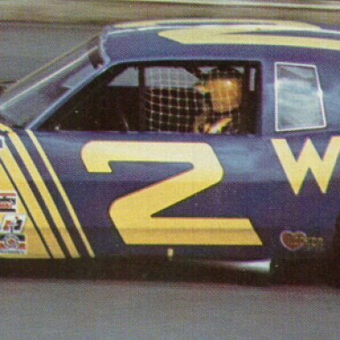 Dale Earnhardt 1981