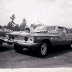 Gene Stone of Savannah Ga